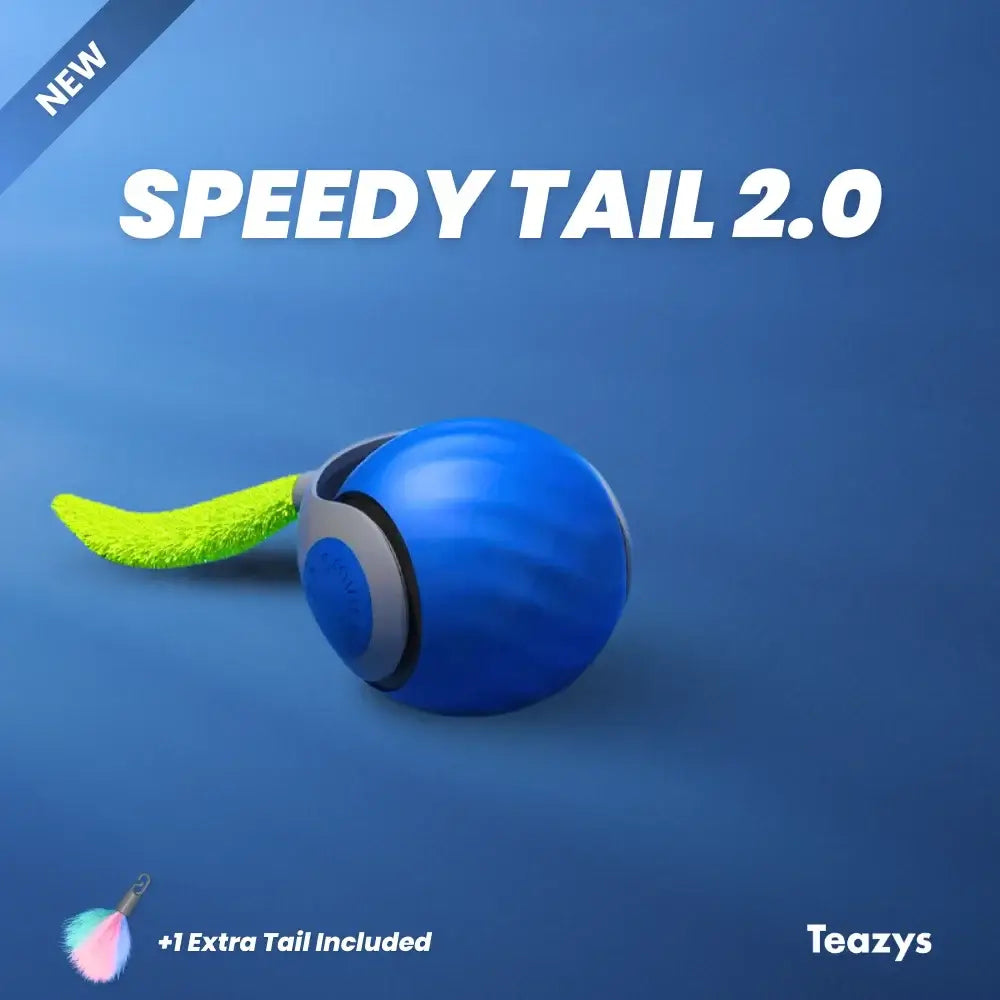 Interactive Cat Toy Ball