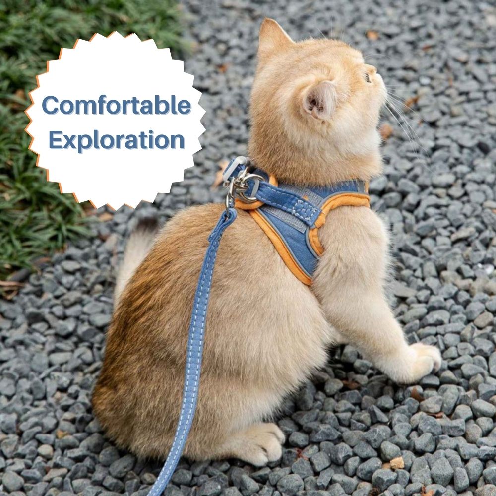 Cat Harness And Leash Set