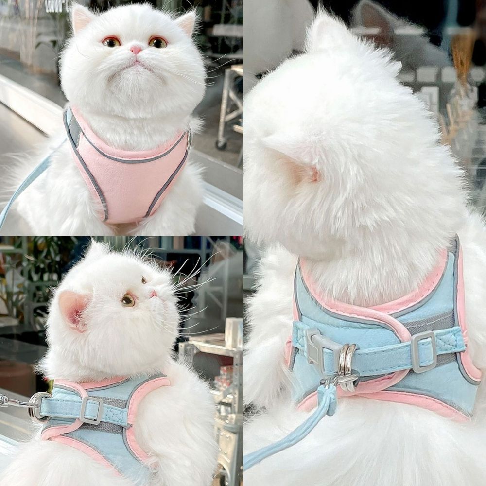 Cat Harness And Leash Set