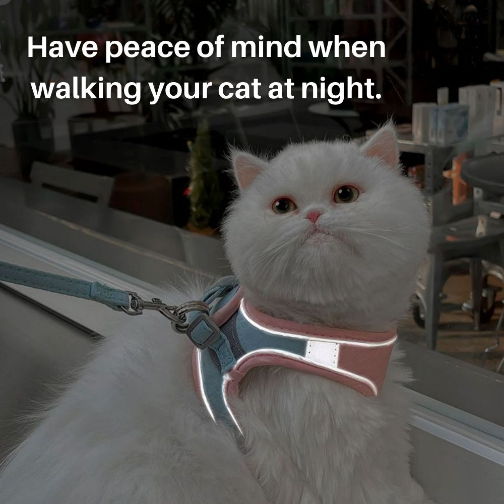 Cat Harness And Leash Set
