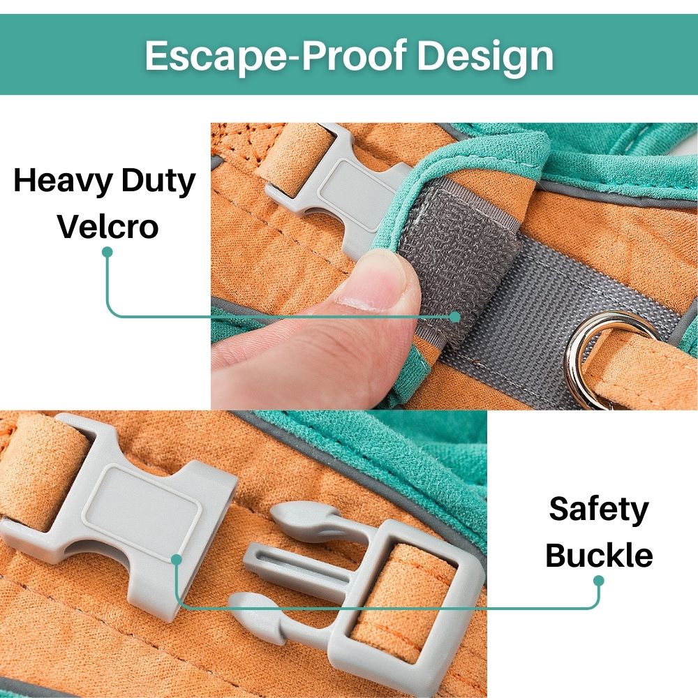 Cat Harness And Leash Set