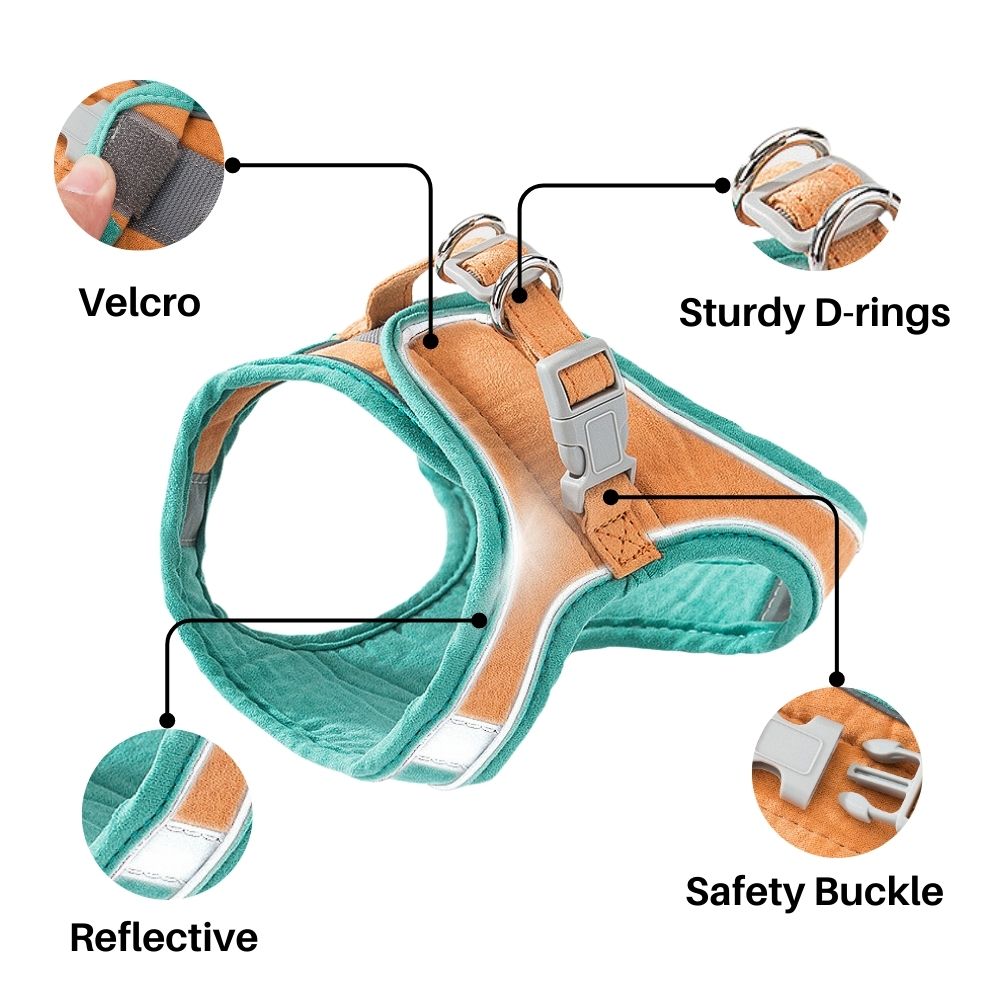 Cat Harness And Leash Set