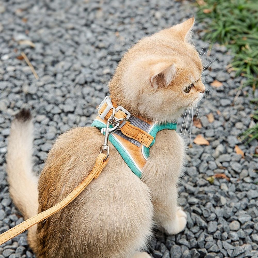 Cat Harness And Leash Set