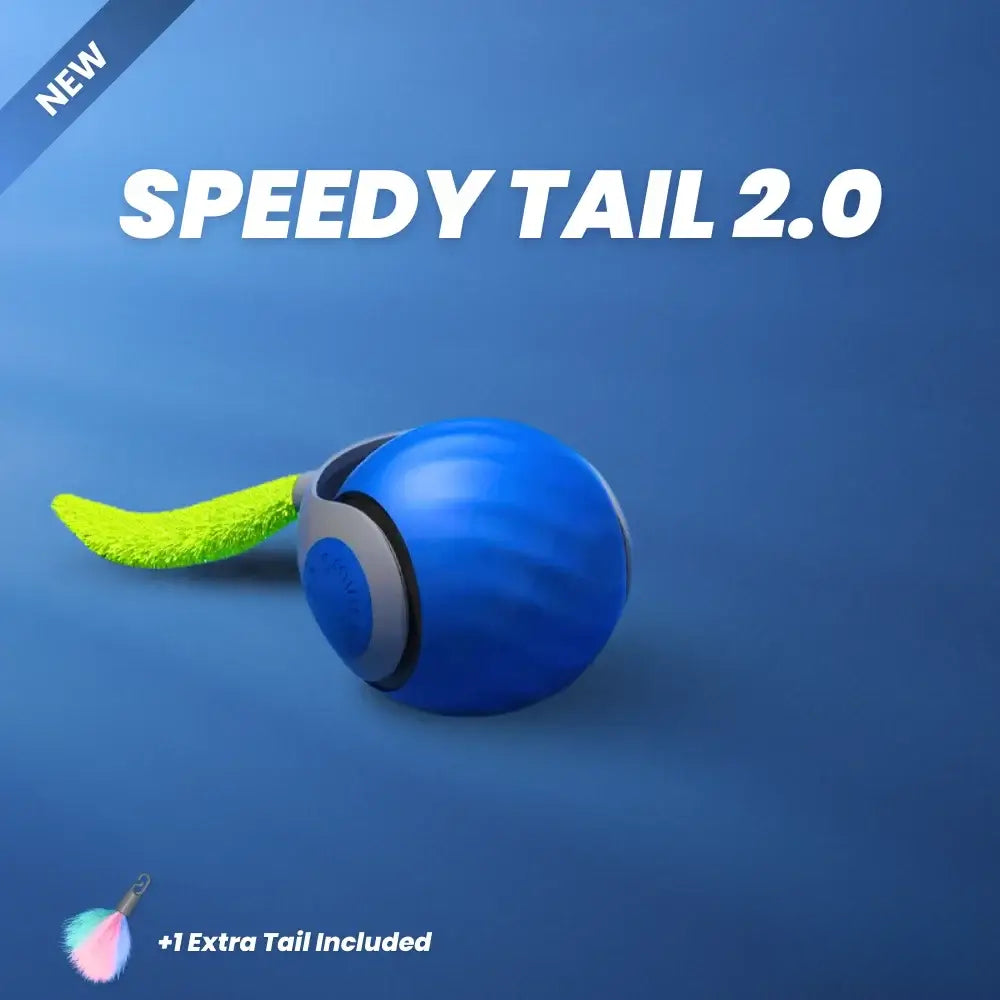 Interactive Rechargeable Cat Toy Ball