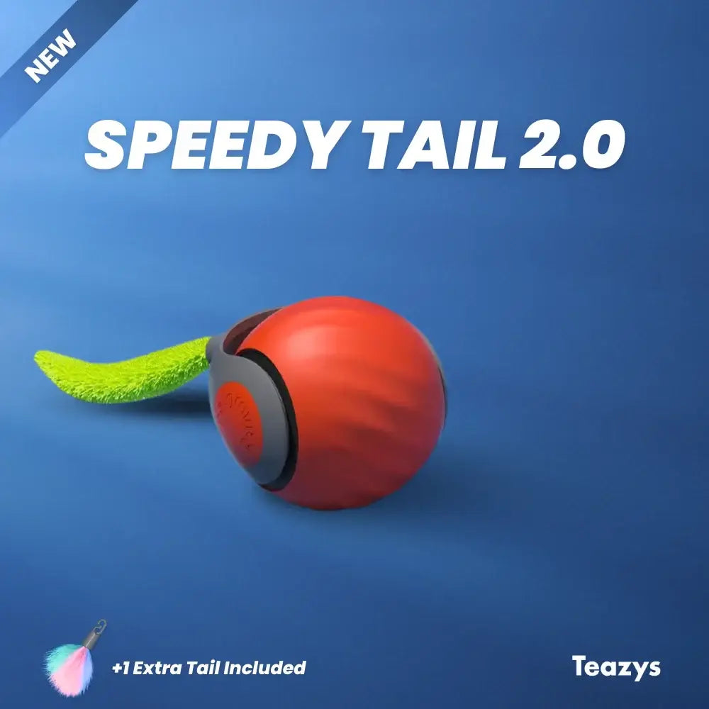 Interactive Cat Toy Ball