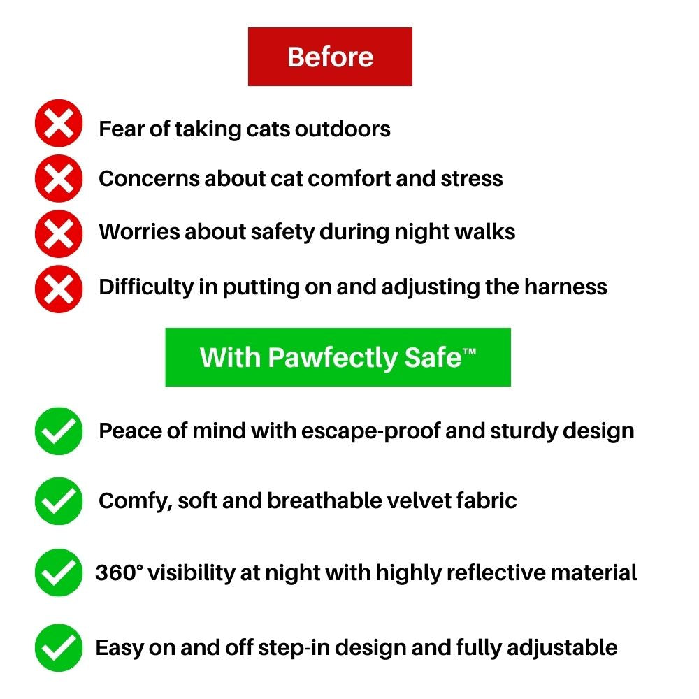 Cat Harness And Leash Set