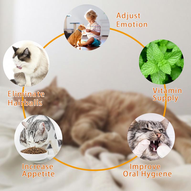 Multi-Functional Cat Wellness Treat