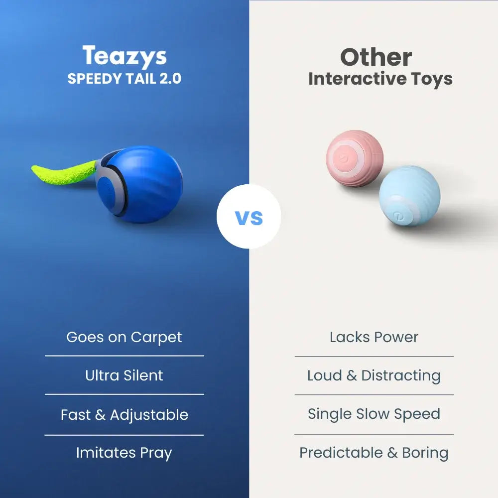 Interactive Cat Toy Ball