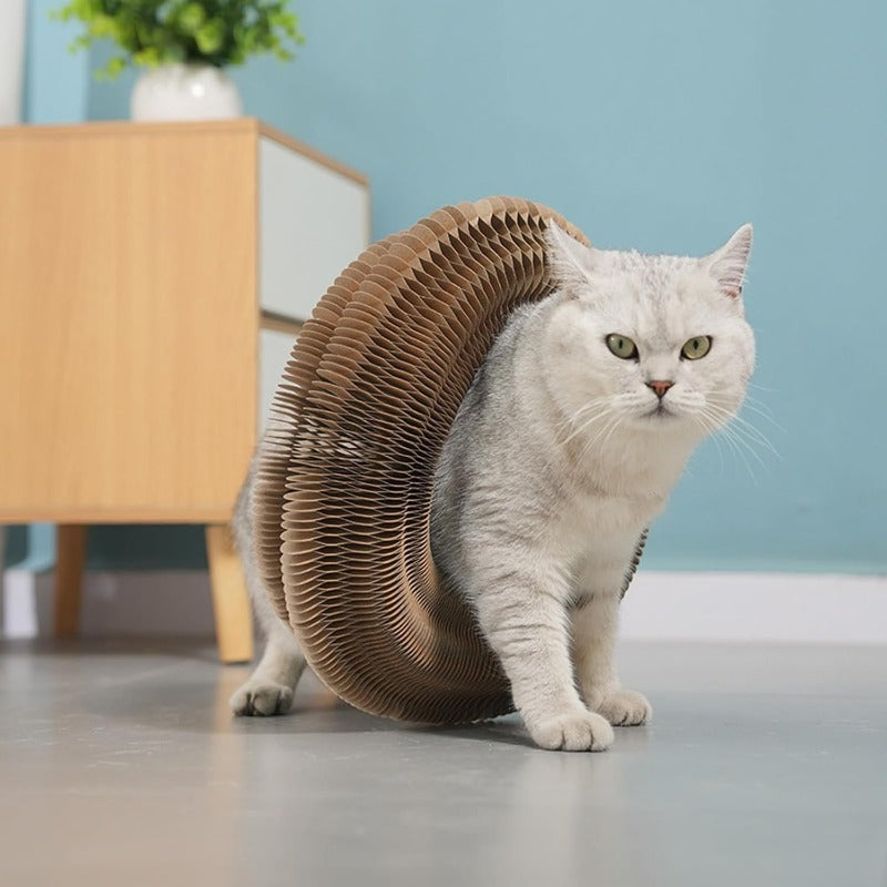 Magic Organ Cat Scratcher