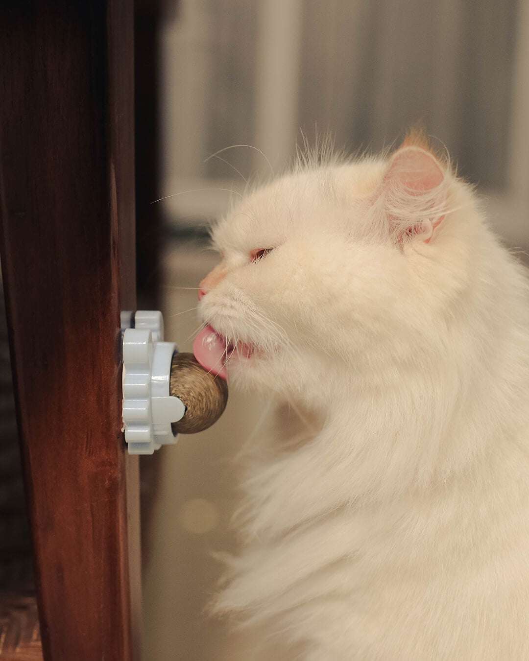 Celery Pets Catnip - Cat Model
