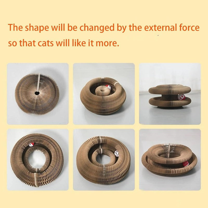 Magic Organ Cat Scratcher