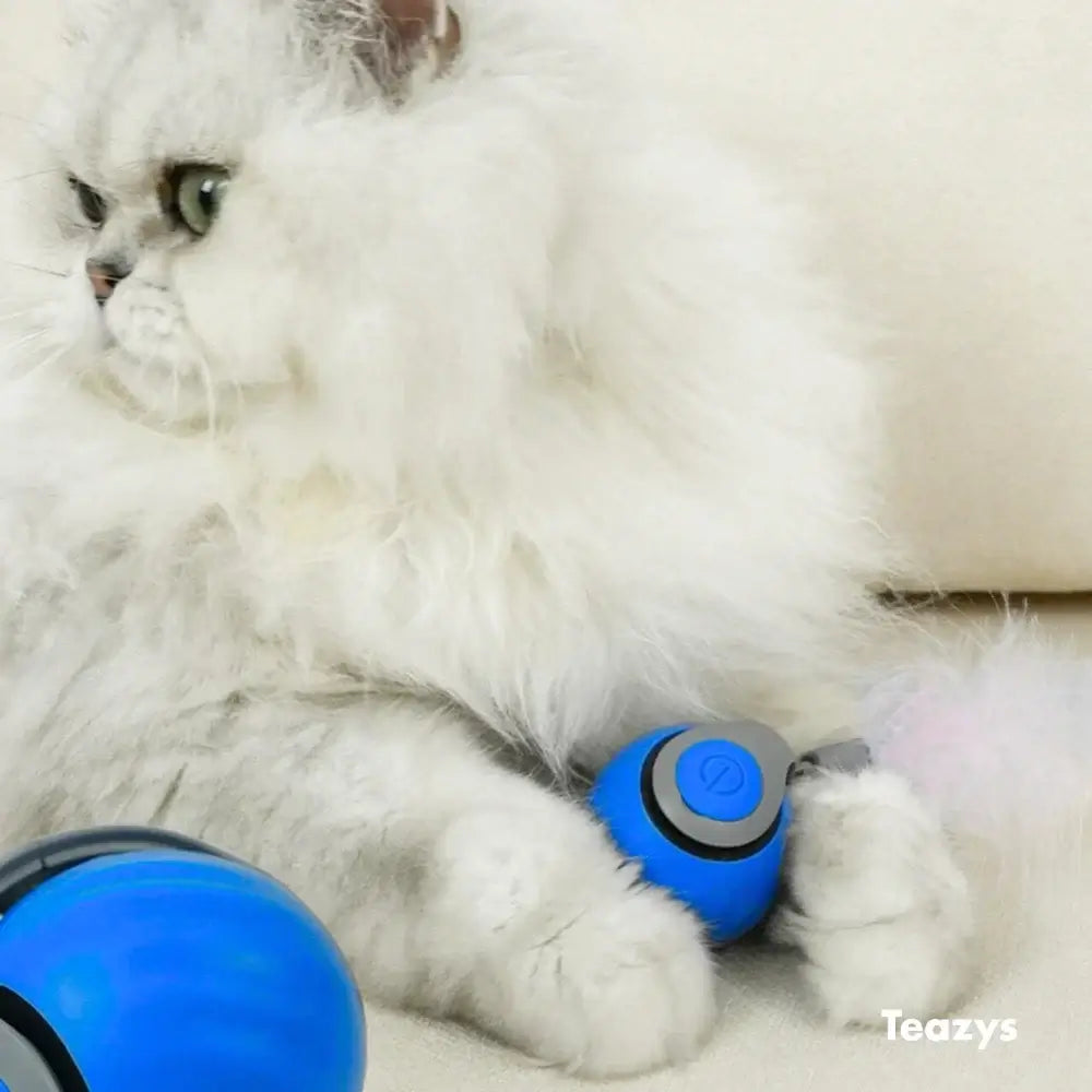 Interactive Cat Toy Ball