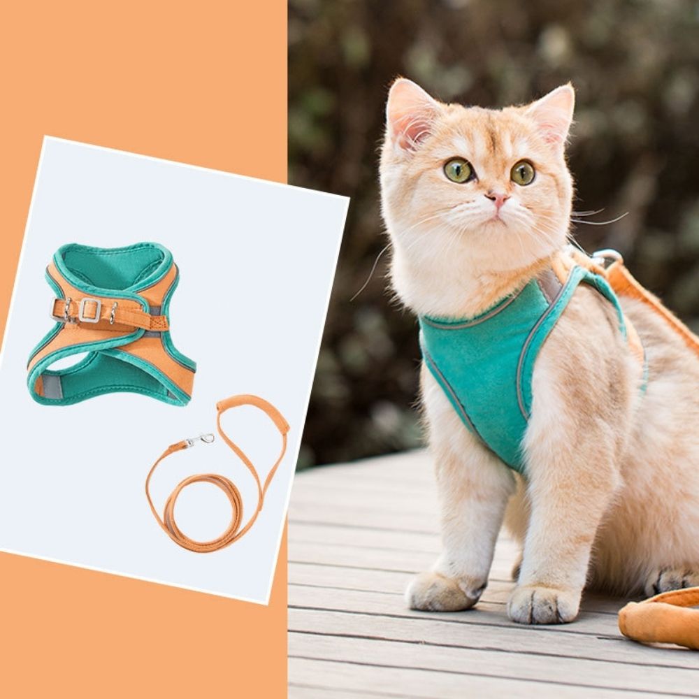 Cat Harness And Leash Set