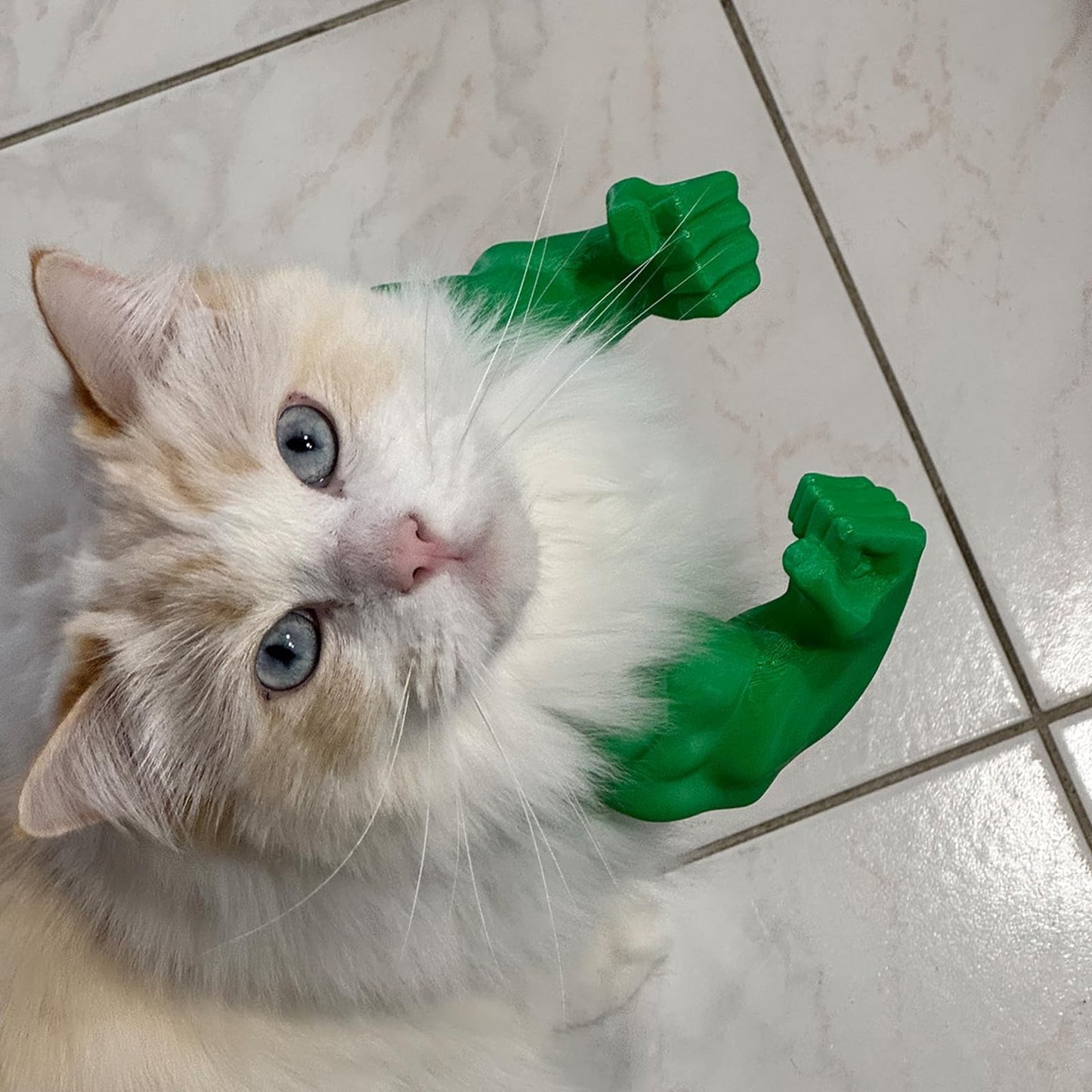 Cat Superhero Muscle Costume Collar