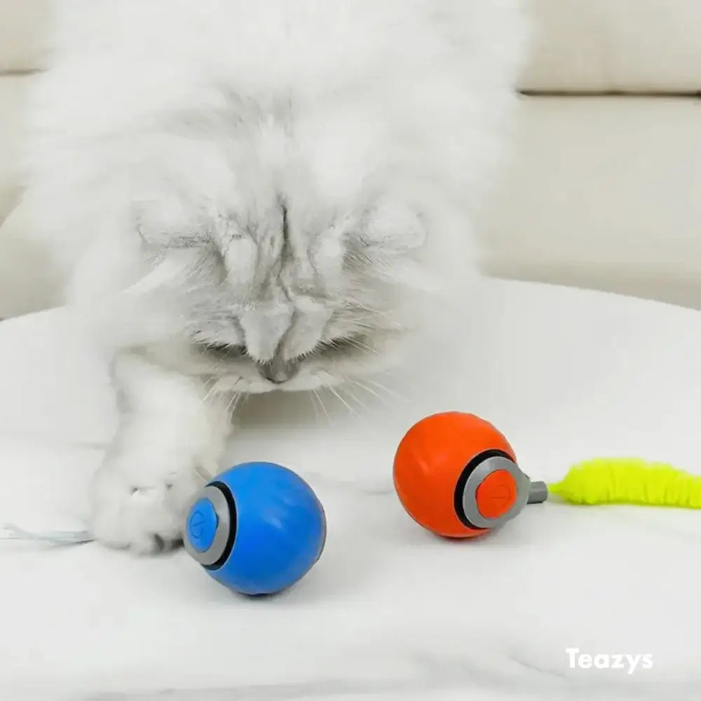 Interactive Cat Toy Ball