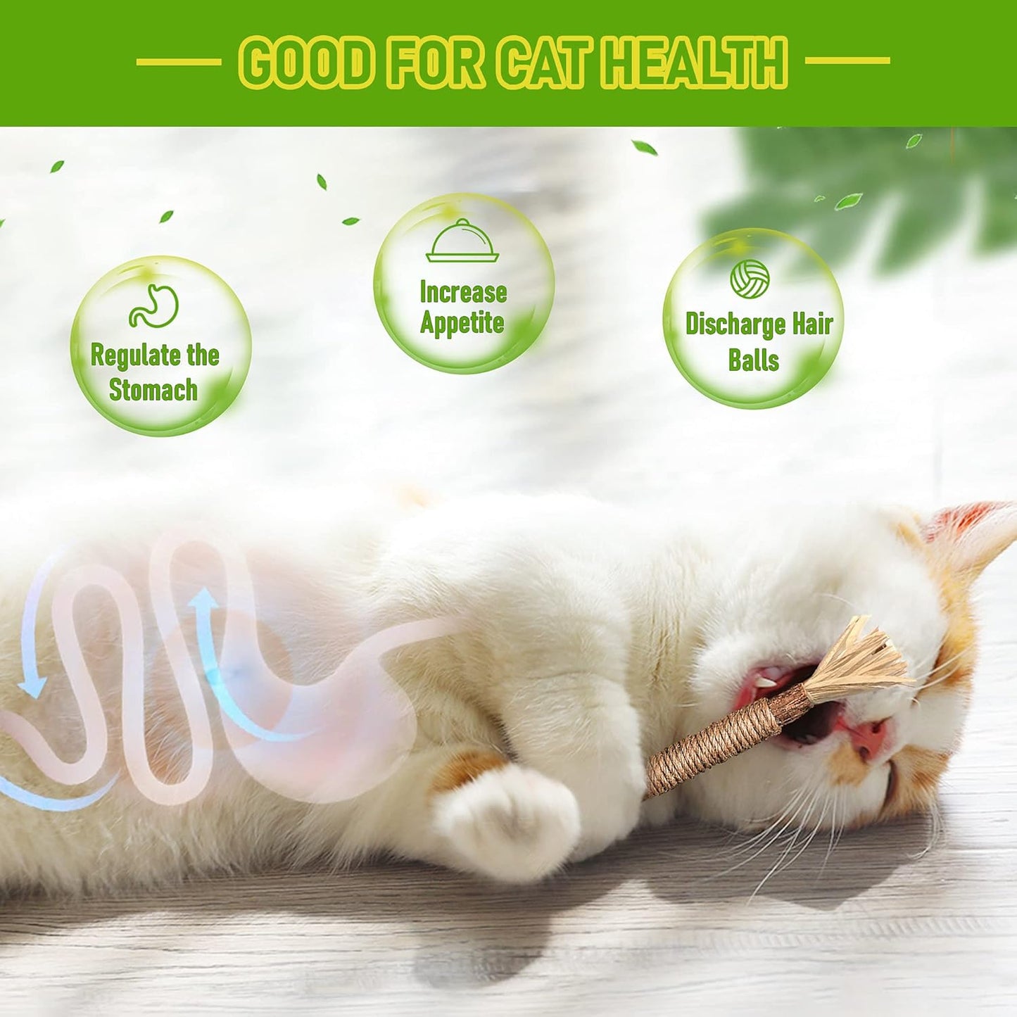Natural Silvervine Chew Sticks – Organic Dental Treats for Cats