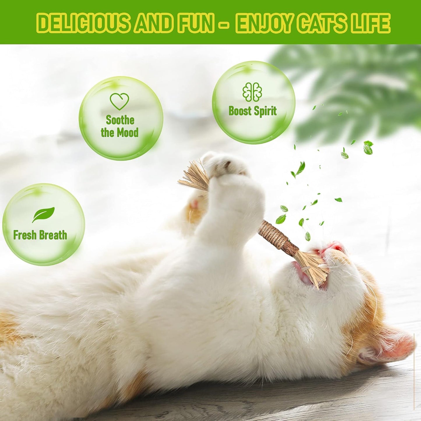 Natural Silvervine Chew Sticks – Organic Dental Treats for Cats