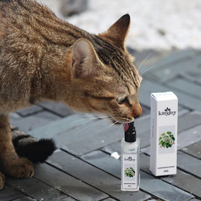 Herbal Cat-Joy