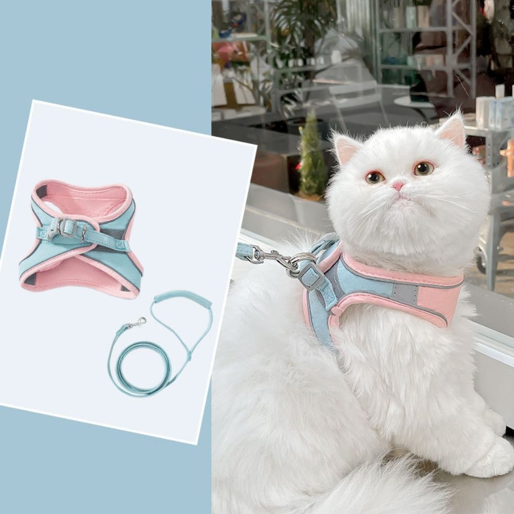 Cat Harness And Leash Set
