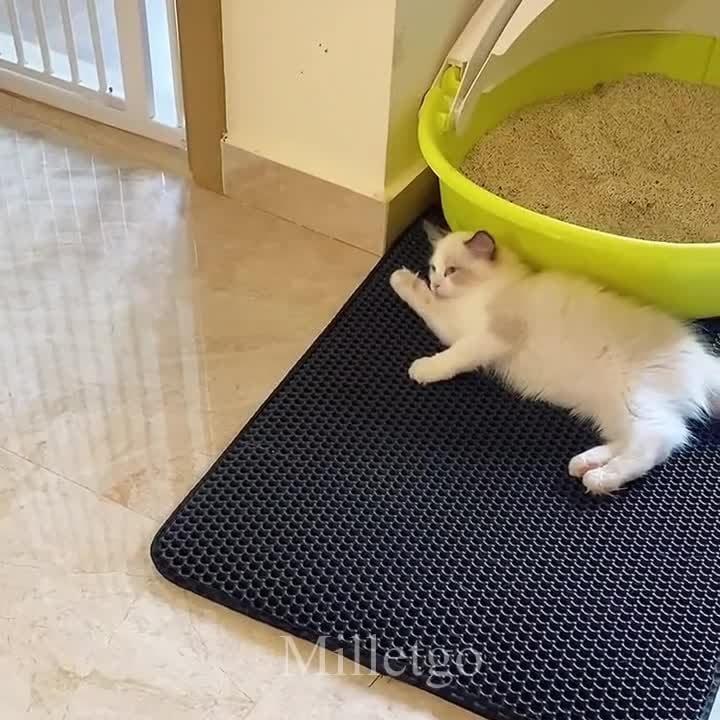 (š„HOT SALE NOW-49% OFF) Non-Slip Cat Litter Mat