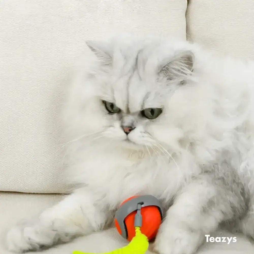 Interactive Cat Toy Ball