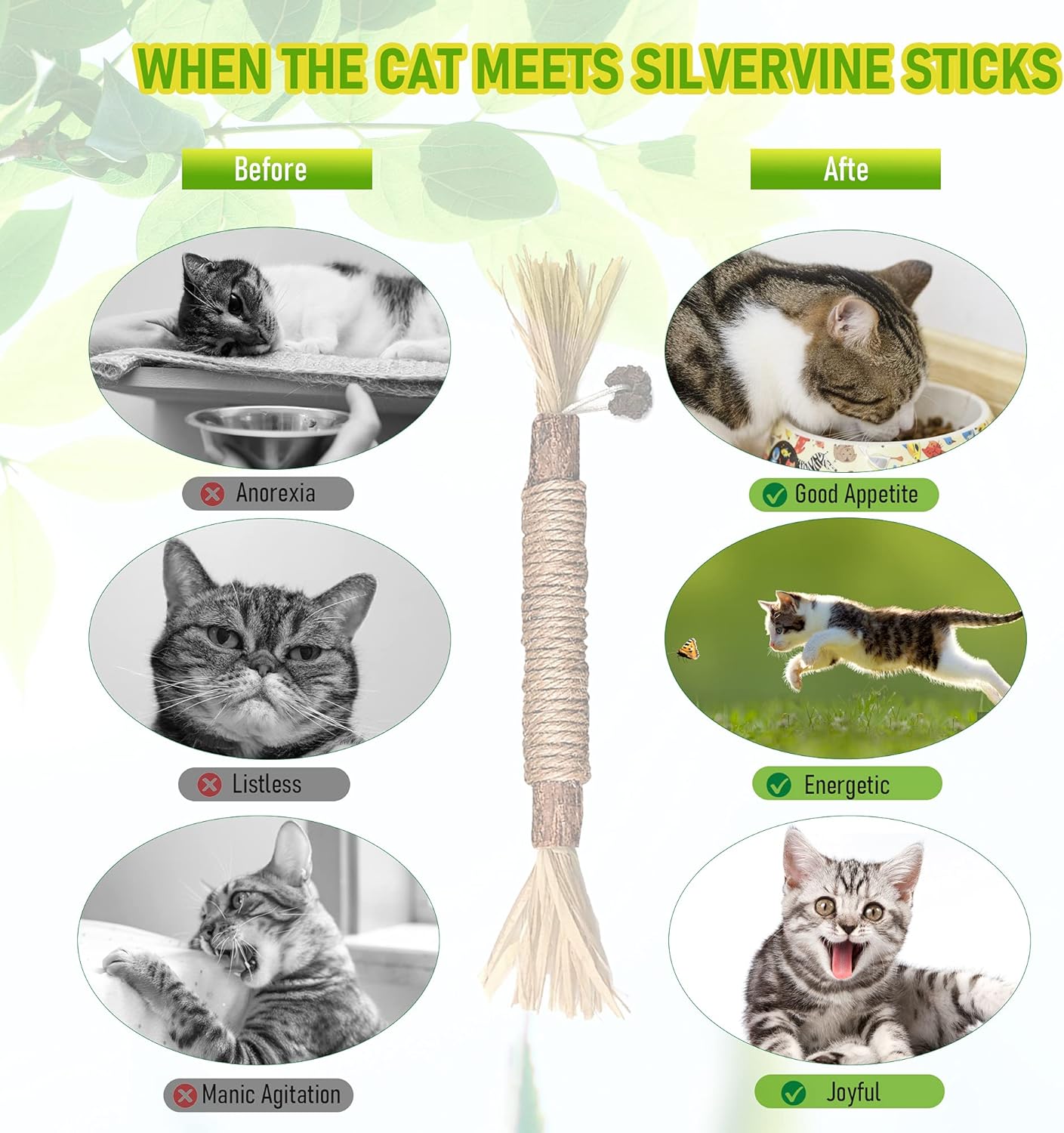 Natural Silvervine Chew Sticks – Organic Dental Treats for Cats
