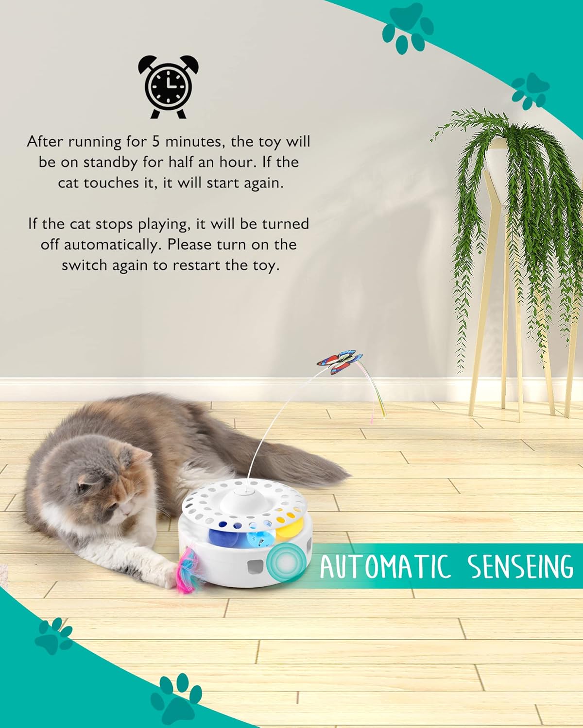 Interactive 3-in-1 Cat Activity Toy