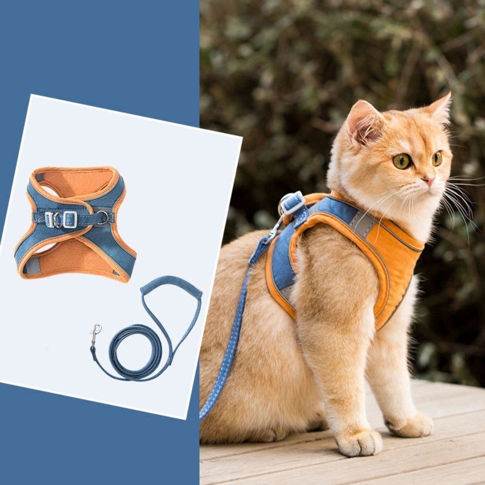 Cat Harness And Leash Set