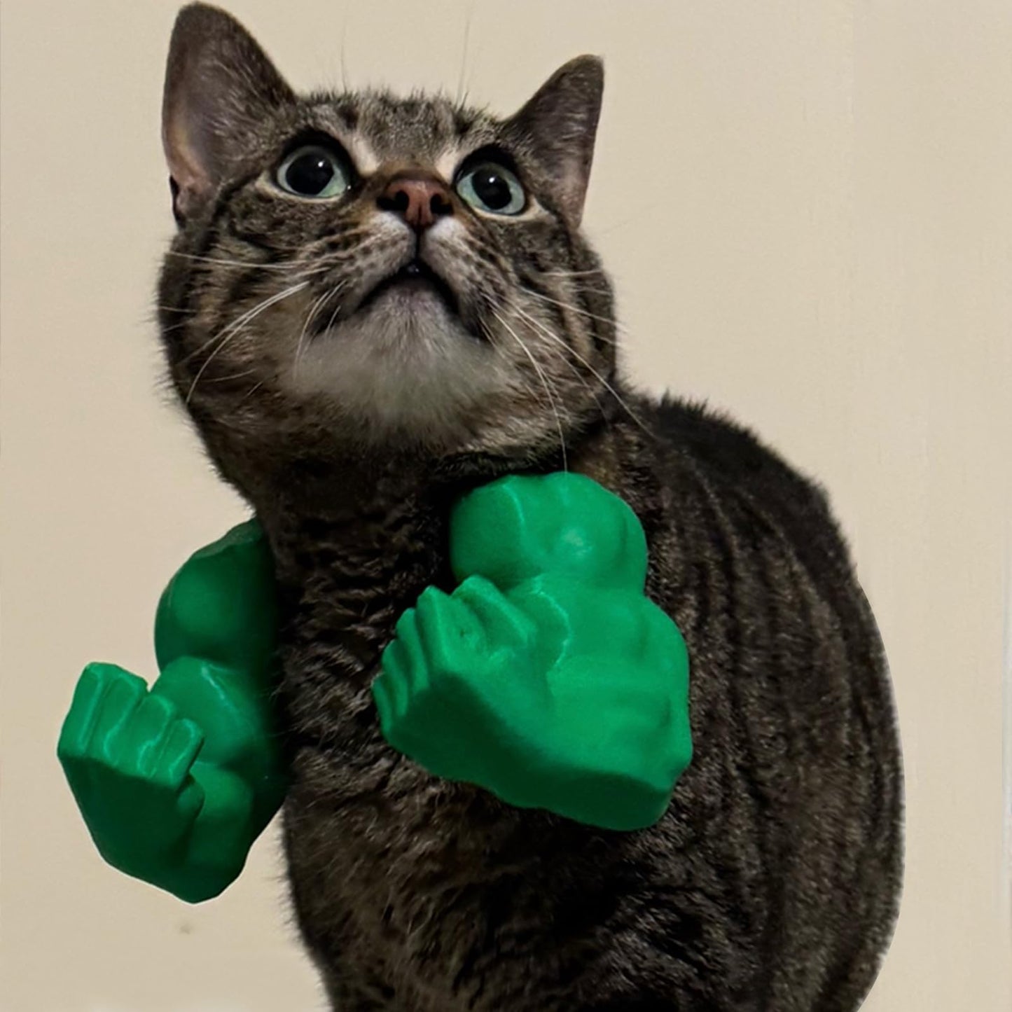 Cat Superhero Muscle Costume Collar