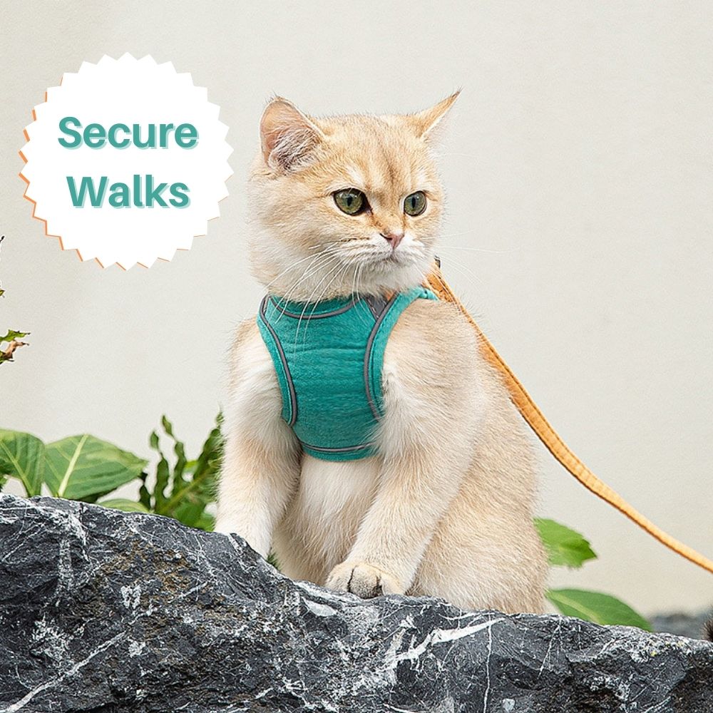 Cat Harness And Leash Set