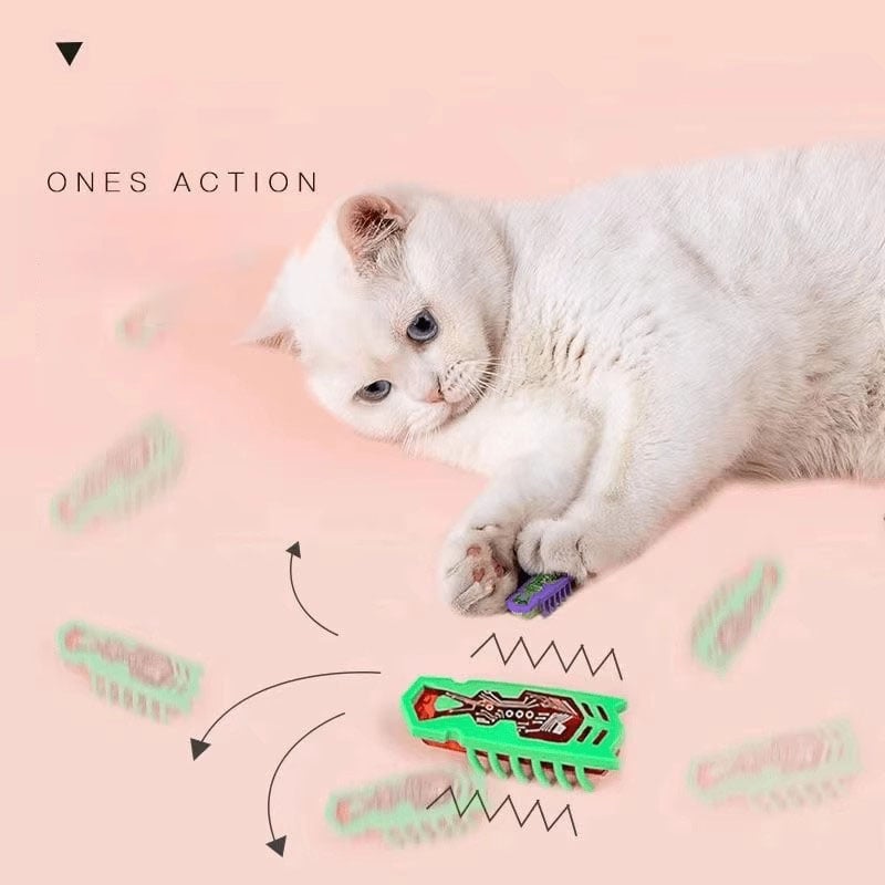🐱Pet Electric Bug Toy🐞