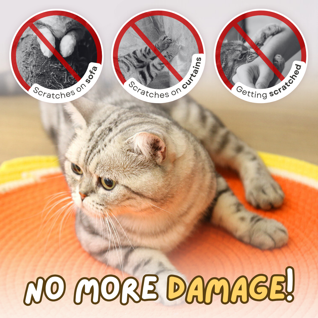 YoPoll Dual Scratching Pad