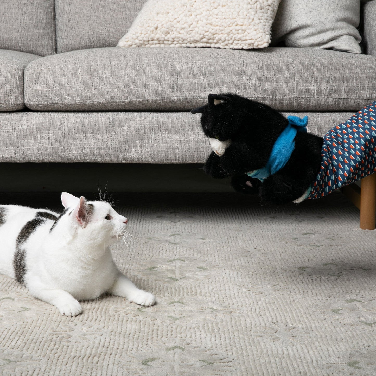 YoPoll Cat Wrestling Glove