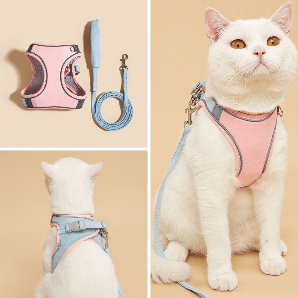 Cat Harness And Leash Set