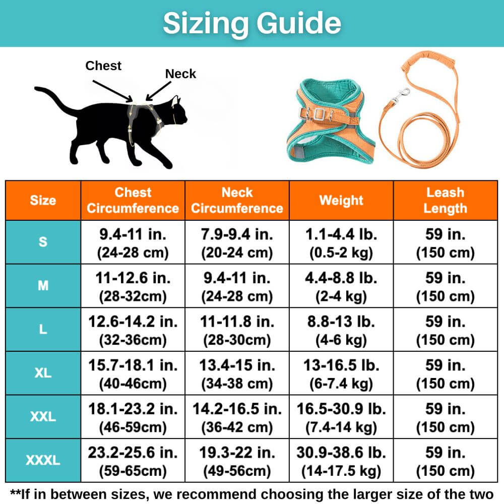 Cat Harness And Leash Set