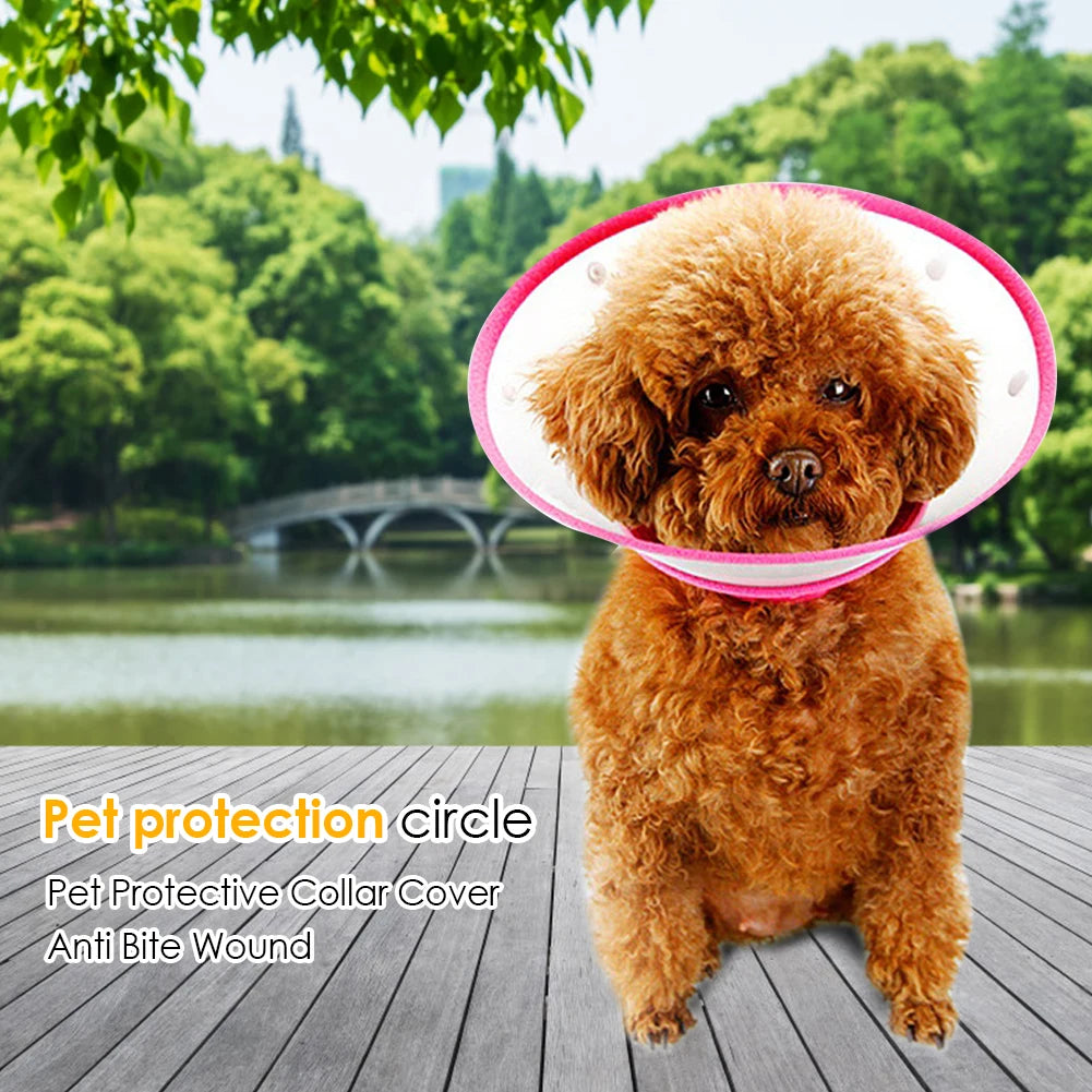 Pet Protective Collar For Small Large Dogs Anti Bite Grasping Licking Collar Puppy Cat Recovery Cone Ring Pets Care Accessories