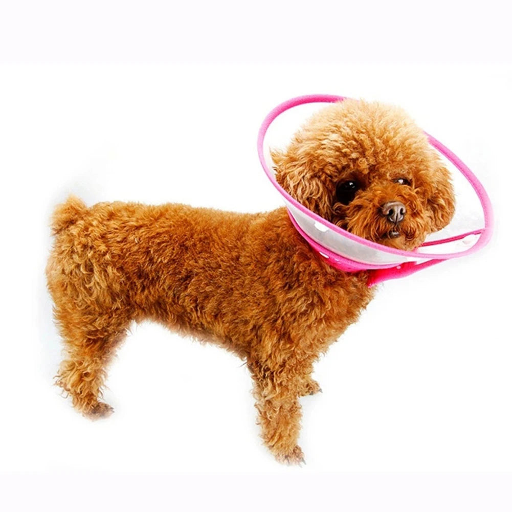 Pet Protective Collar For Small Large Dogs Anti Bite Grasping Licking Collar Puppy Cat Recovery Cone Ring Pets Care Accessories