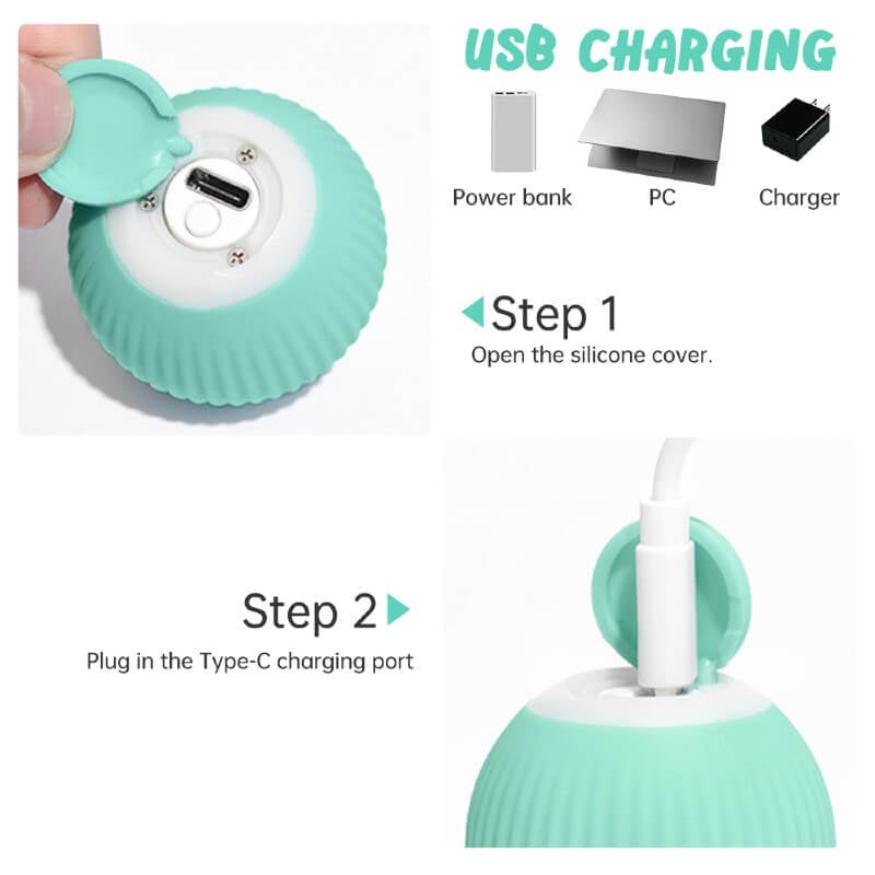 Smart Rechargeable Pet Ball