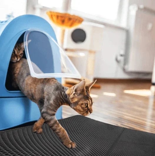 (š„HOT SALE NOW-49% OFF) Non-Slip Cat Litter Mat