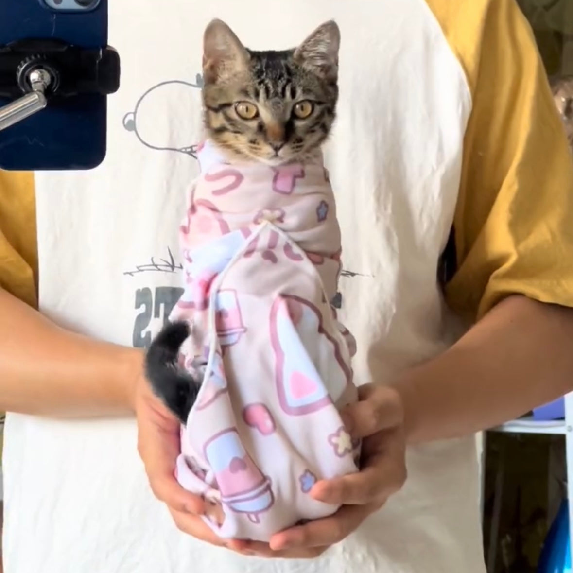 Velcro Fabric For Cat Multi-functional Self-Adhesive Cloth