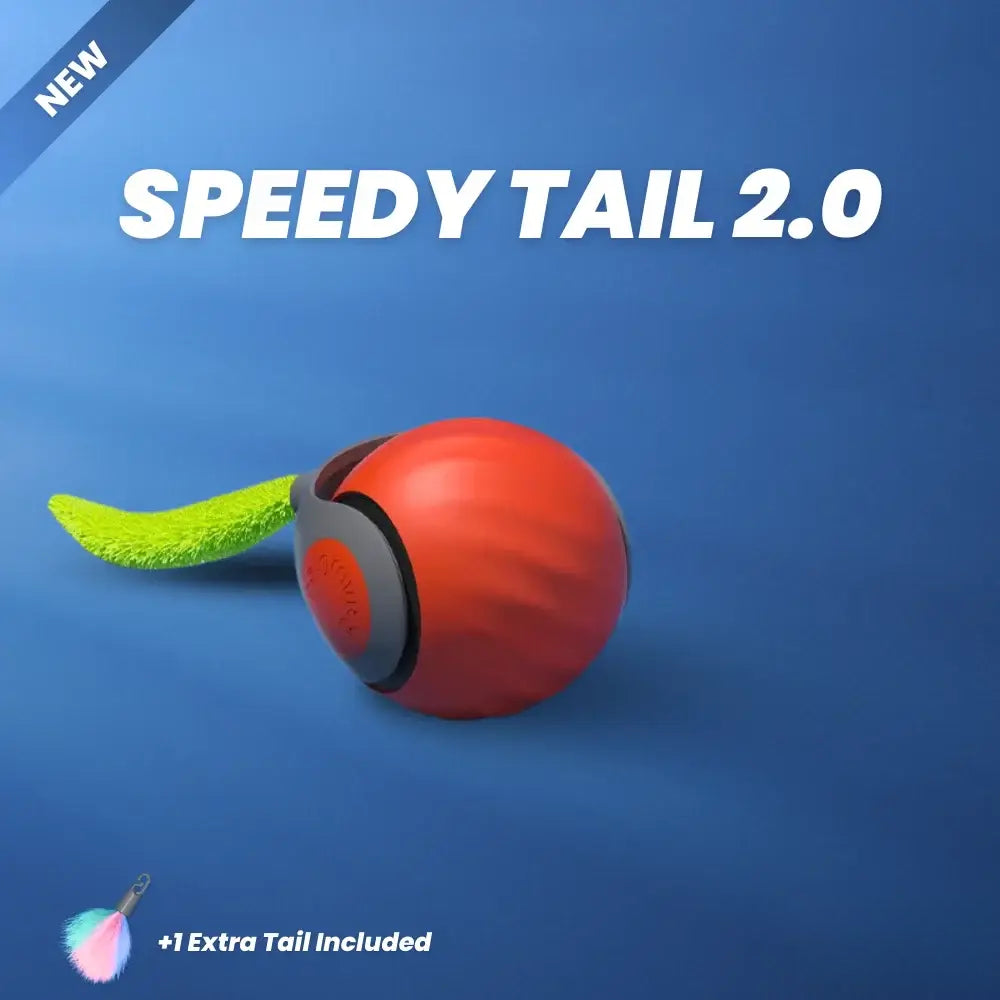 Interactive Rechargeable Cat Toy Ball