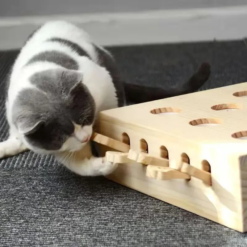 Pet Hit Hamster Toy