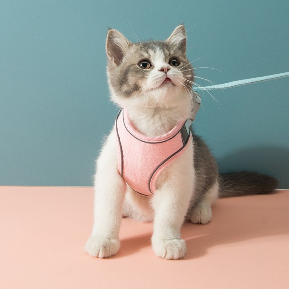 Cat Harness And Leash Set