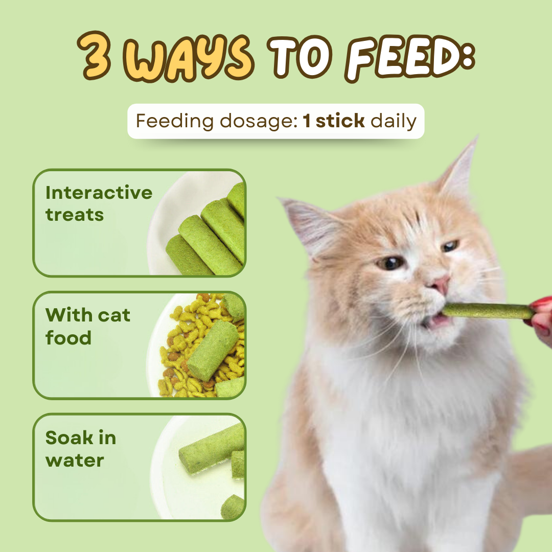 Cat Grass Teething Stick
