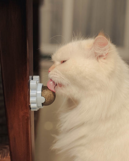 Celery Pets Catnip - Cat Model