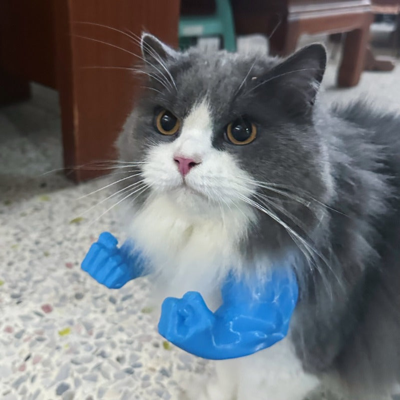Cat Superhero Muscle Costume Collar