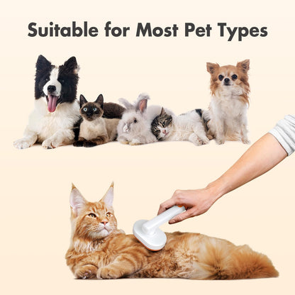 Button Quick Clean Waterproof Cat Hair Brush