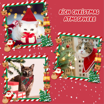 12 Days of Festive Surprises Advent Calendar for Cats