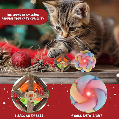 12 Days of Festive Surprises Advent Calendar for Cats