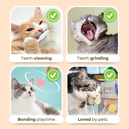 Lollipop Cat Treat
